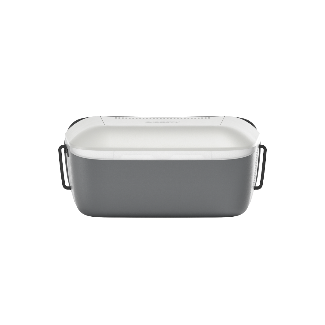 Walksnail Ascent Goggles