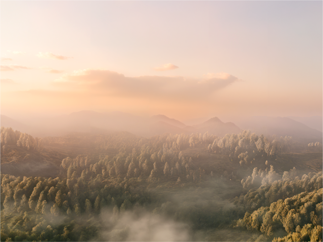 Walksnail Avatar HD Nano 套件 V3 _bakcgrouond