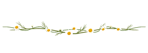 Title left decoration